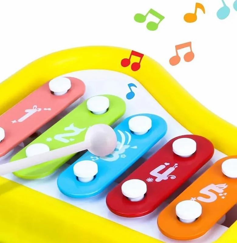 Xylophone for kids